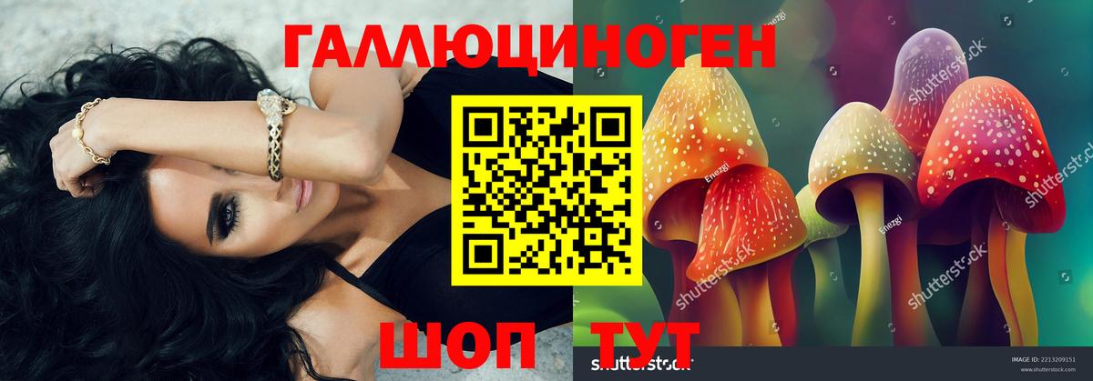 Галлюциногенные грибы GOLDEN TEACHER Кирово-Чепецк